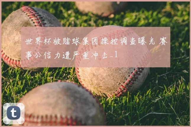 世界杯被赌球集团操控调查曝光 赛事公信力遭严重冲击_1