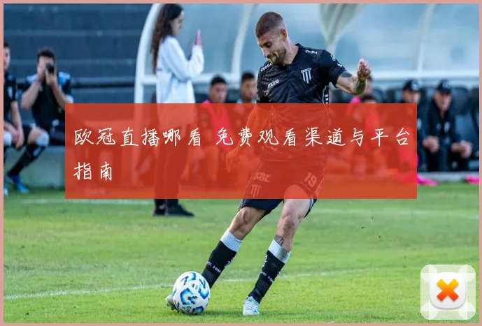 欧冠直播哪看 免费观看渠道与平台指南