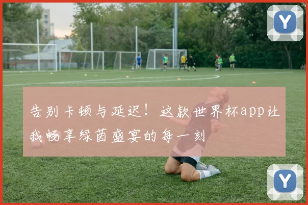 告别卡顿与延迟!这款世界杯app让我畅享绿茵盛宴的每一刻