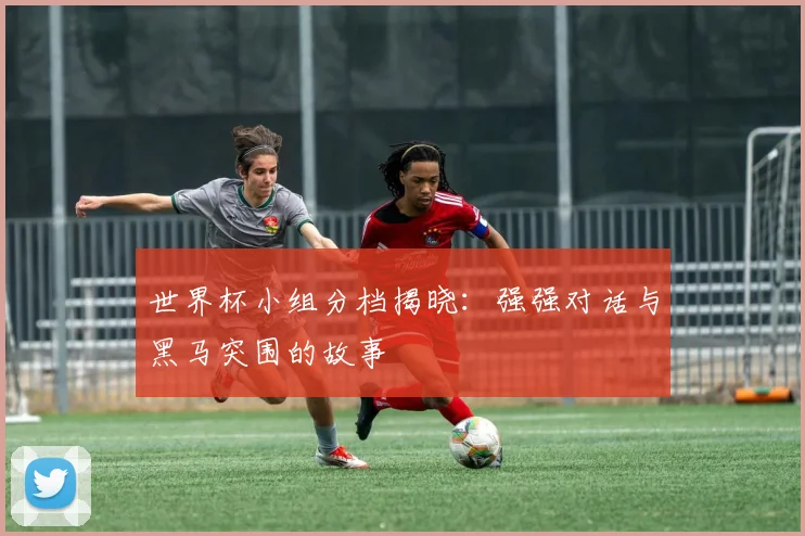 世界杯小组分档揭晓:强强对话与黑马突围的故事