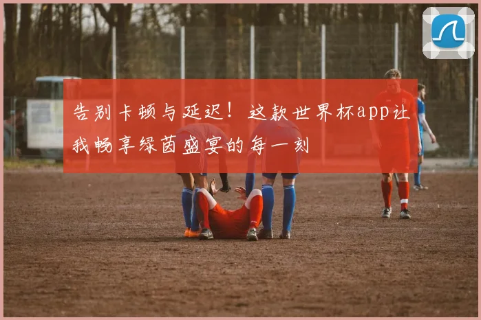 告别卡顿与延迟!这款世界杯app让我畅享绿茵盛宴的每一刻