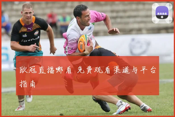欧冠直播哪看 免费观看渠道与平台指南