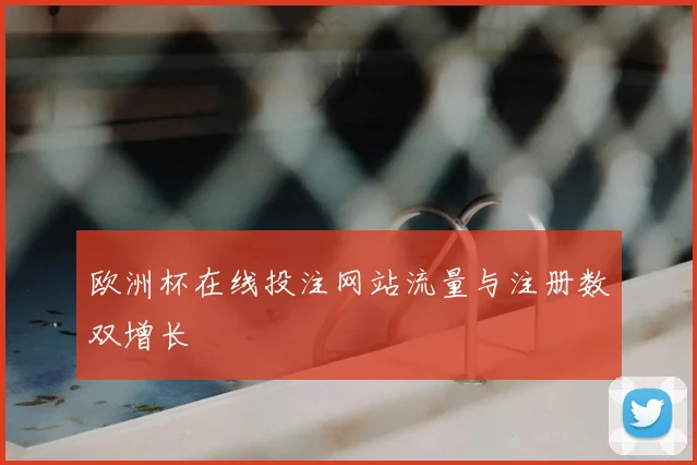 欧洲杯在线投注网站流量与注册数双增长