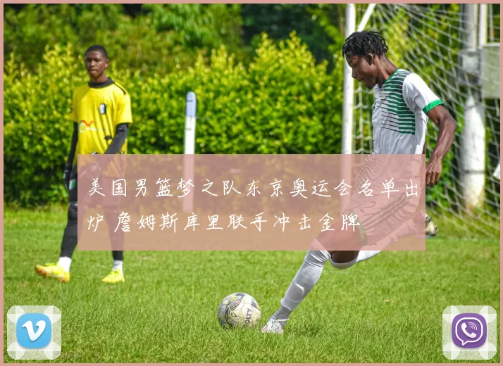 美国男篮梦之队东京奥运会名单出炉 詹姆斯库里联手冲击金牌