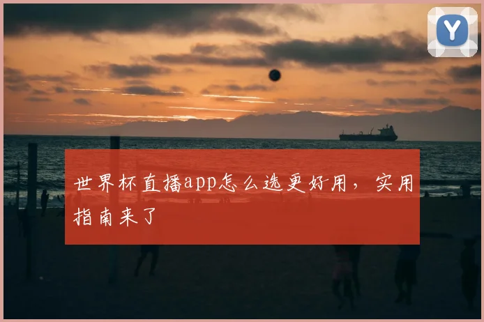 世界杯直播app怎么选更好用，实用指南来了