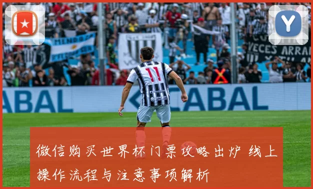 微信购买世界杯门票攻略出炉 线上操作流程与注意事项解析